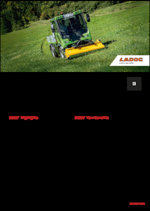 Belediye çok amaçlı araçlar dizel Ladog E 1400