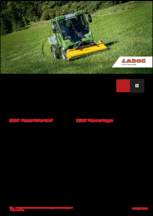 Belediye çok amaçlı araçlar dizel Ladog E 1400