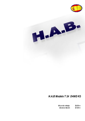 Tekerlekli Teleskopik Bomlu Vinçler HAB T 24 D 4WD K5