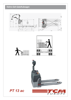 Pallet Jacks TCM PT 313 ac