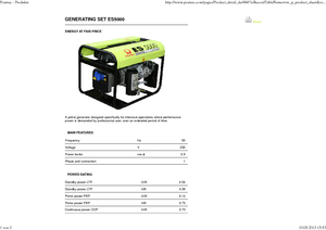 Gasoline Power Generators PRAMAC Lifter ES 5000