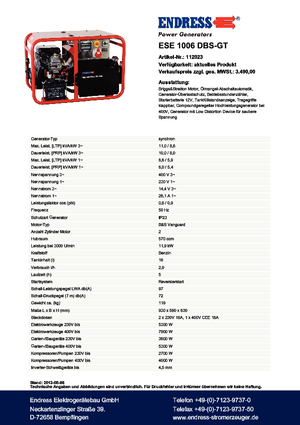 Gasoline Power Generators Endress ESE 1006 DBS-GT