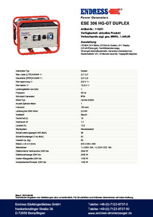 Gasoline Power Generators Endress ESE 306 HG-GT Duplex