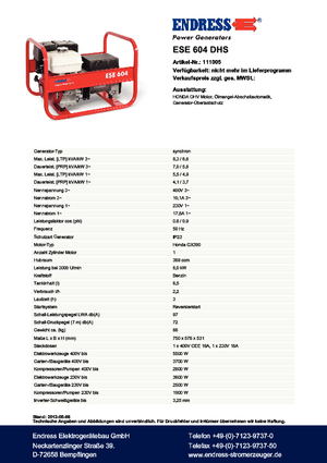 Gasoline Power Generators Endress ESE 604 DHS