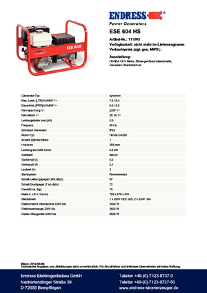 Gasoline Power Generators Endress ESE 604 HS