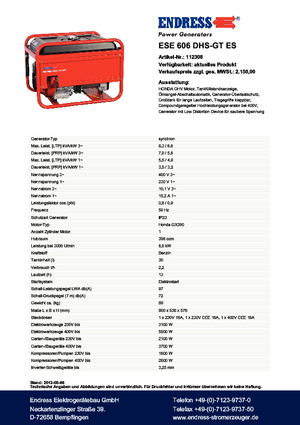 Gasoline Power Generators Endress ESE 606 DHS-GT ES