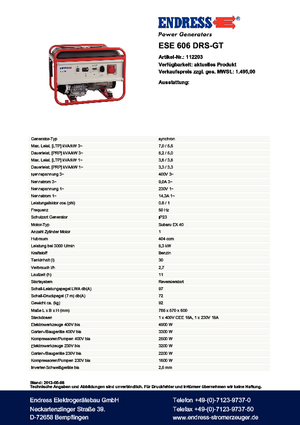 Gasoline Power Generators Endress ESE 606 DRS-GT