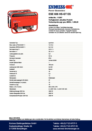 Gasoline Power Generators Endress ESE 606 HS-GT ES