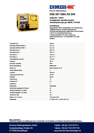Gasoline Power Generators Endress ESE 957 DBG ES DIN