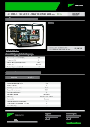 Gasoline Power Generators INMESOL AK-1300-E