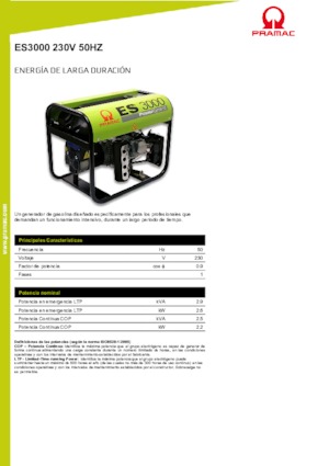 Gasoline Power Generators PRAMAC Lifter ES 3000