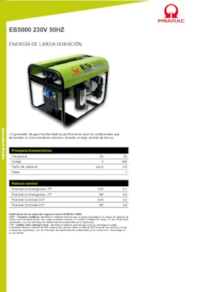 Gasoline Power Generators PRAMAC Lifter ES 5000