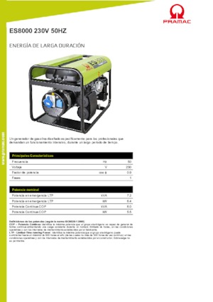 Gasoline Power Generators PRAMAC Lifter ES 8000