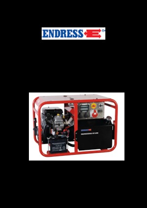 Gasoline Power Generators Endress ESE 1006 DBS GT ES