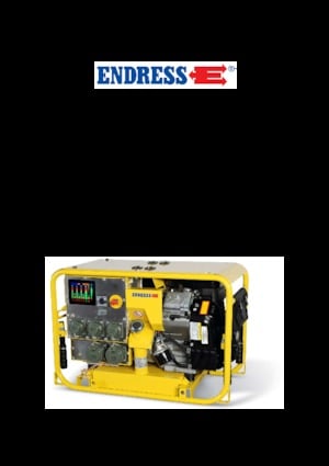 Gasoline Power Generators Endress ESE 1304 DBG ES  DIN