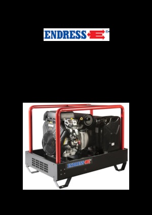 Gasoline Power Generators Endress ESE 2006 DBS-GT ES 