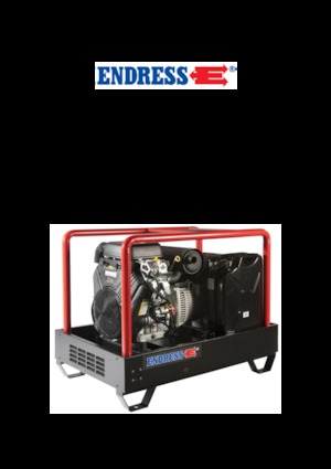 Gasoline Power Generators Endress ESE 2006 DBS-GT ES 