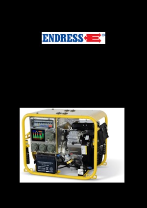 Gasoline Power Generators Endress ESE 604 DBG ES DIN