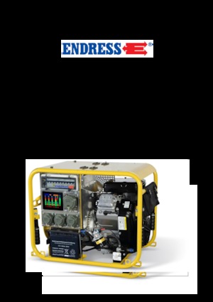 Gasoline Power Generators Endress ESE 604 DBG ES DIN