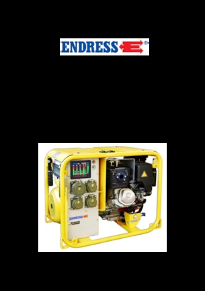Gasoline Power Generators Endress ESE 604 DHG DIN