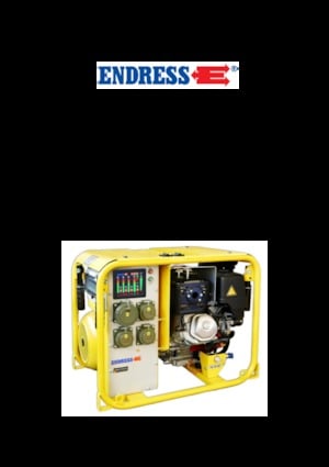 Gasoline Power Generators Endress ESE 604 DHG DIN