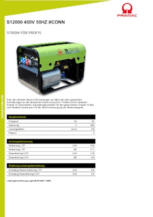 Gasoline Power Generators PRAMAC Lifter SP 12000