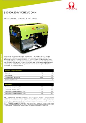 Gasoline Power Generators PRAMAC Lifter S 12000