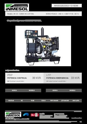 Diesel Power Generators INMESOL AK-33