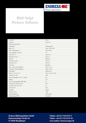 Dizel Jeneratörler Endress ESE 165 VW/AS