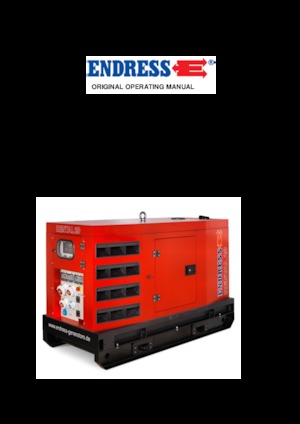Diesel Power Generators Endress ESE 45 YW/RS