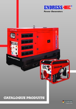 Diesel Power Generators Endress ESE 30 YW/RS