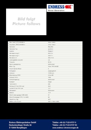 Diesel Power Generators Endress ESE 330 VW AS