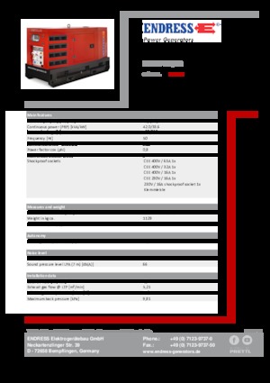 Dizel Jeneratörler Endress ESE 45 YW/RS
