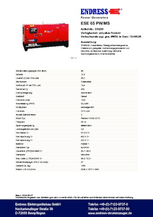 Diesel Power Generators Endress ESE 65 PW/MS