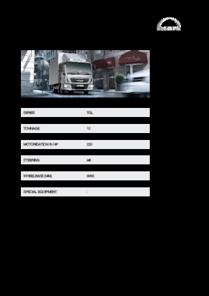 Rigid Chassis MAN TGL 12.250 4x2