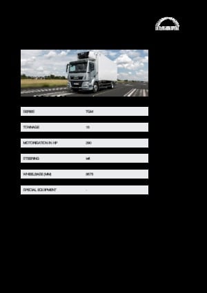 Rigid Chassis MAN TGM 15.290 4x2