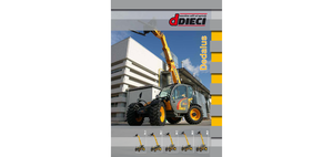 Telehandlers Dieci Dedalus 30.9