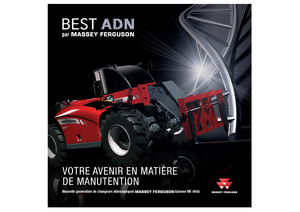 Telehandlers Massey Ferguson MF 9306