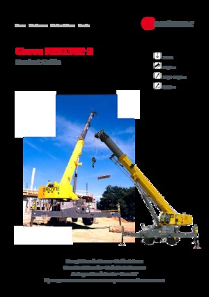Engebeli Arazi Vinçleri Grove RT9130E-2