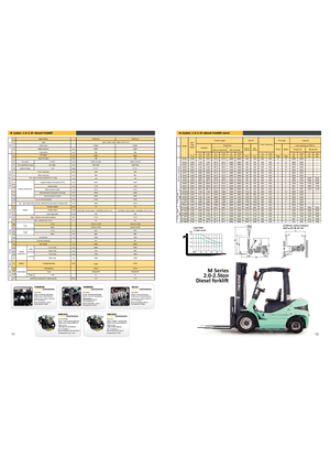 Rough terrain forkliftler Maximal FD 25 T-C2WE3