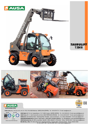 Rough Terrain Forklifts Ausa T 204 H X4