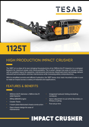 Rubble Recycling Plants Tesab 1125T