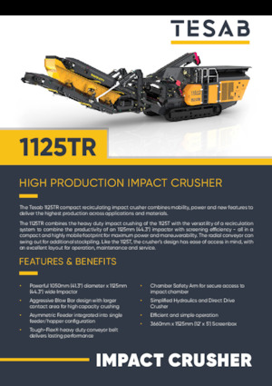 Rubble Recycling Plants Tesab 1125TR