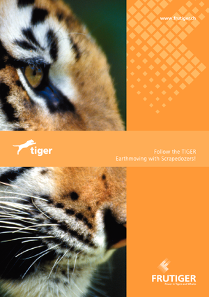 Kazıyıcı Frutiger SR 3000 Tiger