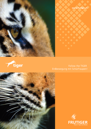 Kazıyıcı Frutiger SR 3000 Tiger