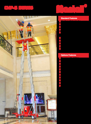 Tek Dikey Direkli Sepetli Vinçler Mantall CMP14-S