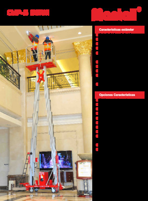 Tek Dikey Direkli Sepetli Vinçler Mantall CMP14-S