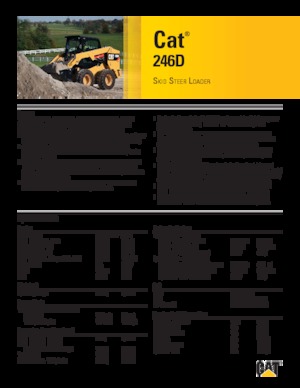 Kızak Dümen Yükleyiciler Caterpillar 246D