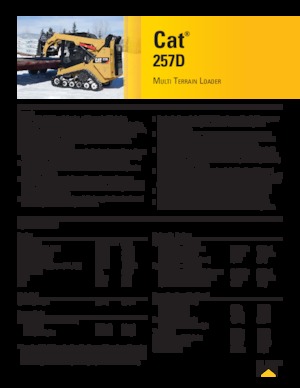 Kızak Dümen Yükleyiciler Caterpillar 257D