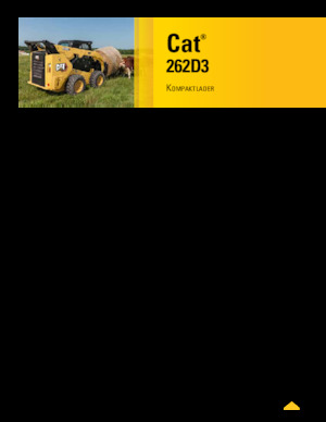 Skid Steer Loaders Caterpillar 262D Series 3